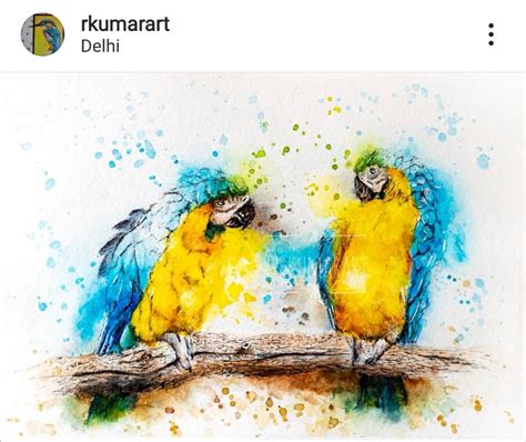 Aquarelle 20 Comptes Instagram à Découvrir