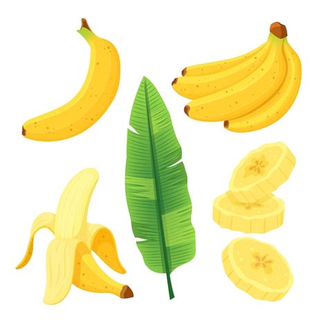 Premium Vector Banana Fruit Set Cartoon Vector