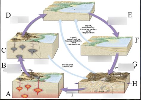 Rock Cycle Diagram Diagram | Quizlet