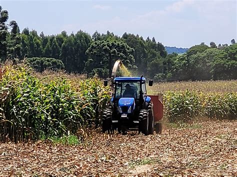 Projeto Institui Programas De Apoio Ao Pequeno Produtor Rural De