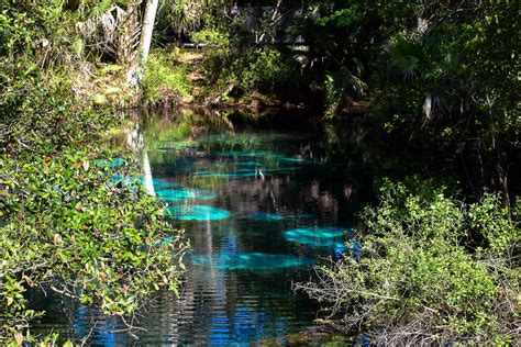 Juniper Springs in Ocala National Forest - The Adventures of Trail & Hitch