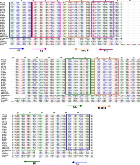 Multiple Sequence Alignment Of The Vp35 Coat Protein Subunits Of 22