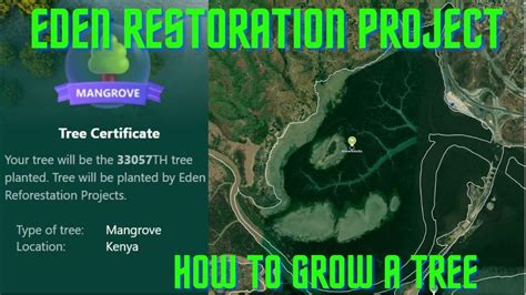 How To Grow A Microsoft E Tree Faster Eden Restoration Project Youtube