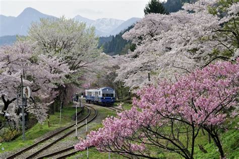 湯野上温泉 春景色 By ペコおやじ （id：11056876） 写真共有サイトphotohito