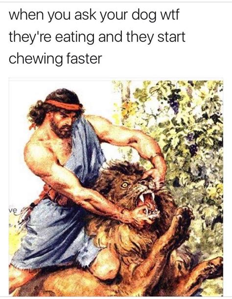 Bad dog : r/dankchristianmemes