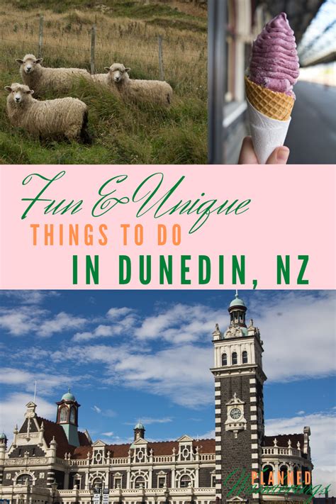 Things To Do In Dunedin Artofit