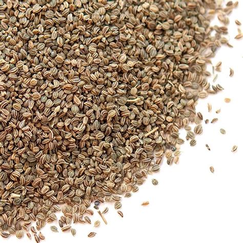 Celery Seed Definition Of Celery Seed