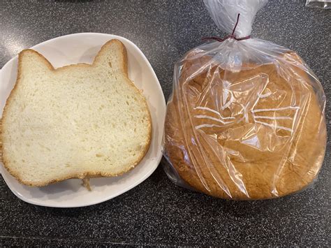 Kitten Sandwich Bread Rjapanesefood