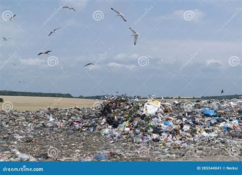 Pollution Concept. Garbage Pile in Trash Dump Stock Image - Image of ...