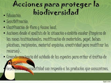 Biodiversidad