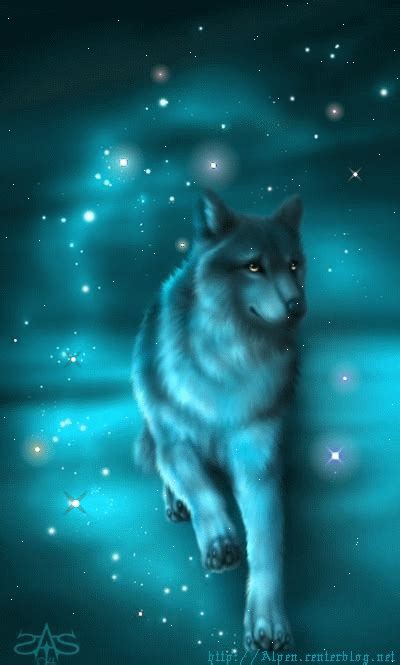 Wolves Wallpaper  Wolf  Wolf Discover And Share S Siyah