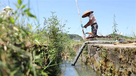 湖南东安：抗旱保灌为农作物“输血解渴”央广网