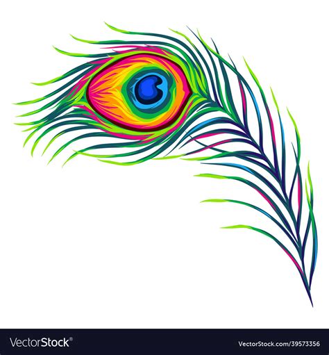 Stylized Of Peacock Feather Image Royalty Free Vector Image