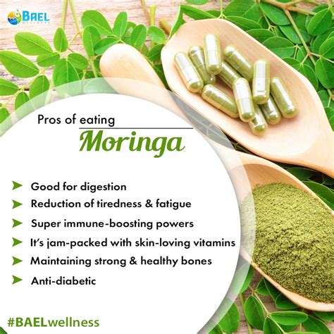 Bael Wellness Moringa Leaf Powder Increase Immunity Moringa