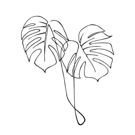 Monstera Leaf Palmenblätter One Line Line Art SVG PNG Etsy