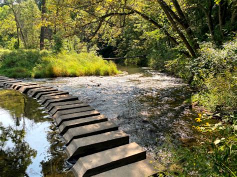 The Natural Swimming Hole At Dells Of The Eau Claire Park In Wisconsin