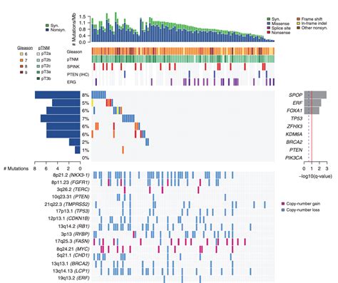 Publications From The Wankowicz Lab