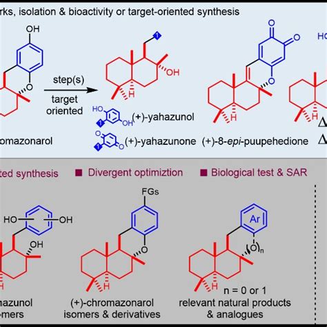 Progress In Chromazonarol Relevant Drimane Hydroquinones And This Work