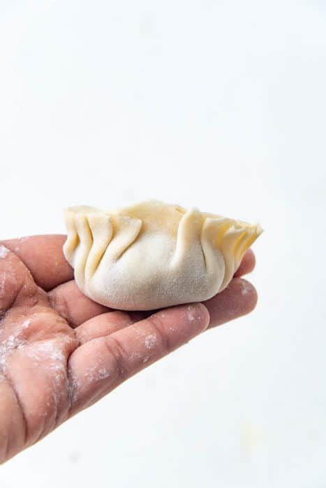 Juicy Steamed Chicken Dumplings The Flavor Bender