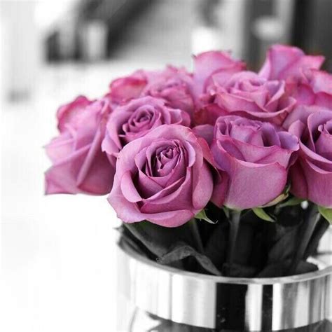 A Bunch Of Purple Roses In A Silver Vase