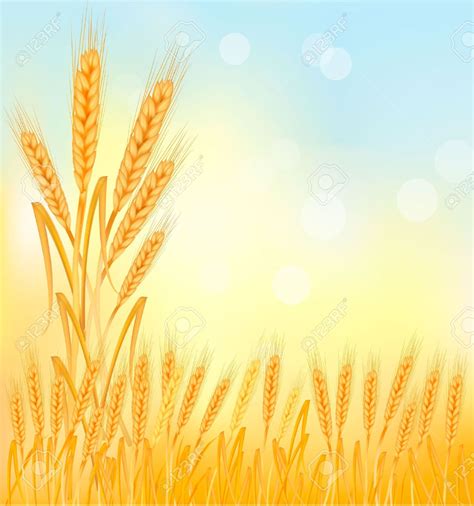 Farming Background Clipart