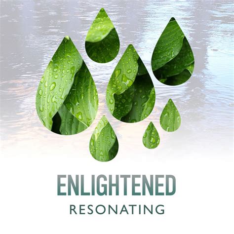 Zzz Enlightened Resonating Rain Tracks Zzz Album By Relaxing Rain