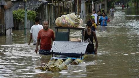 Why Assam Reels Under Devastating Floods Every Year Explained India Tv