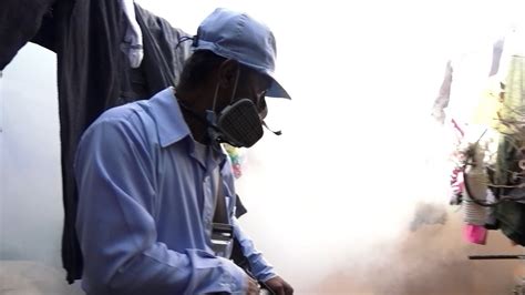 Brigadistas De Salud No Dan Tregua A La Lucha Contra Los Mosquitos