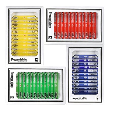 Kit 48 Lâminas Preparadas Para Microscópio Flora Fauna Submarino