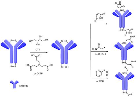 Ijms Free Full Text Linkers Having A Crucial Role In Antibody Drug Conjugates