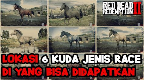 Rdr Tips Rdr Lokasi Kuda Jenis Race Yg Bisa Didapatkan Di Dunia