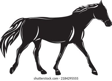 Horse Silhouette On White Background Isolated Stock Vector (Royalty ...