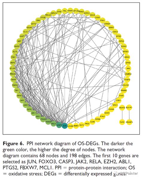 Cytoscape