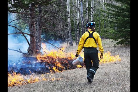 カナダ 山火事