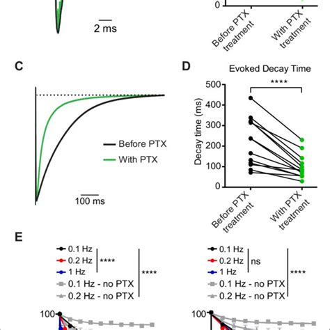 Ptx Blocks Gaba A Rs In A Use Dependent Manner Consistent With