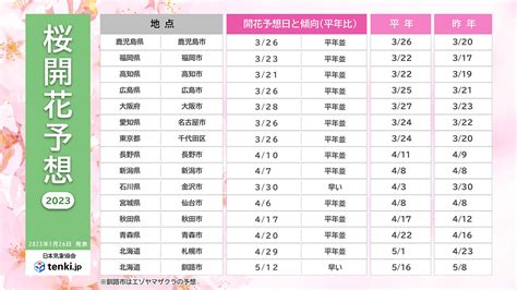 今年の桜は平年並み？東京の桜開花は326と予想 下北沢情報サイト【しもブロ】