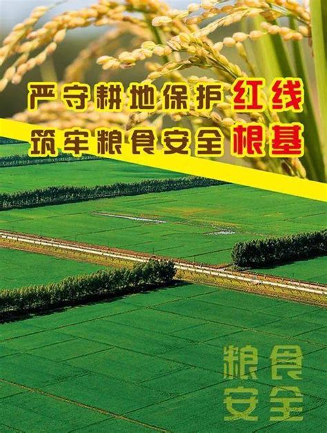 占补平衡守住耕地保护红线补充