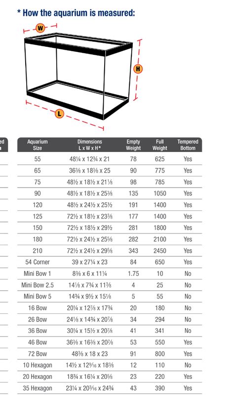 DIY Aquarium Setup Guide Measurements And Build