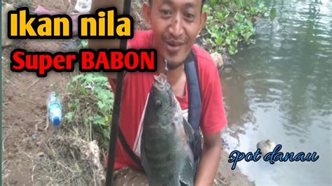 Mancing Di Danau Dapat Ikan Nila Super Babon Youtube