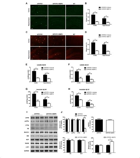 BMP9 treatment diminished amyloid plaque pathology and Aβ levels in