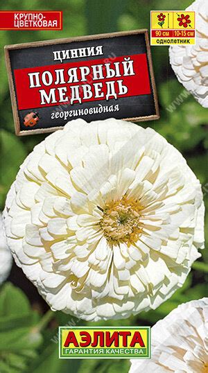 Купить Цинния Полярный Медведь георгиновидная 0.3г Н90см крупноцвет ...
