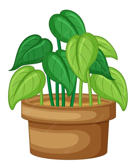 Potted Plant Clipart