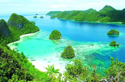 Pentingnya Kehadiran Negara Agar Warisan Dunia Raja Ampat Tak Memudar