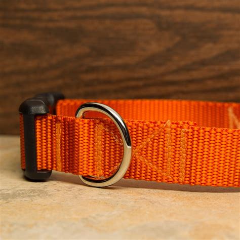 Orange Dog Collar | Aw Paws