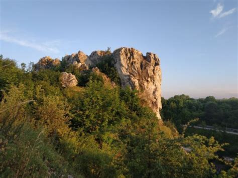 Rezerwat Kadzielnia Kadzielnia Kielce