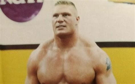 Brock Lesnar Left Another Wrestler 'On The Ground About Ready To Cry ...