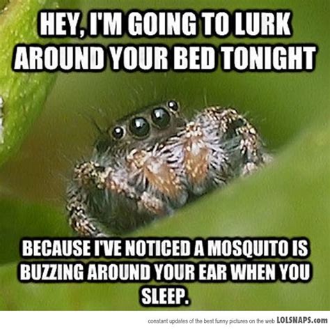 The Best Of The Misunderstood Spider Meme Pics Spider Meme