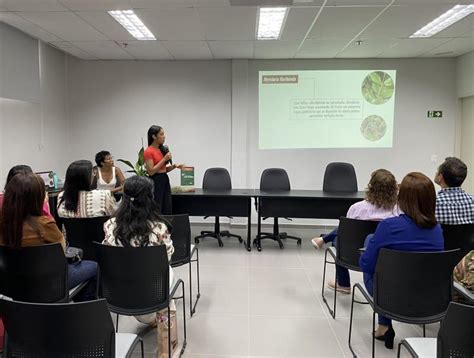 Instituto Do Meio Ambiente Sedia Edi O Da Primavera Dos Museus