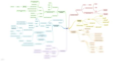 Solution Cognitive Psychology Mindmap Reviewer Studypool