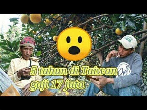 Gaji 17 Juta Perbulan Kerja Di Taiwan YouTube